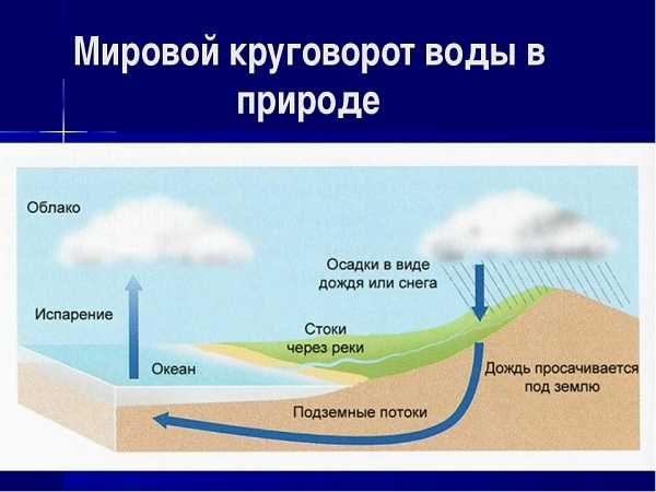 Контрольная работа: Особенности круговорота воды в природе